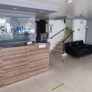 Stay Blue Hotel